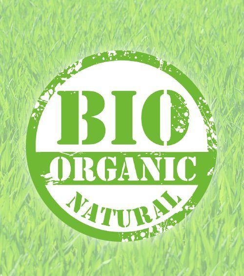 Пармиджано Реджано BIO D.O.P. (Пармезан) 24 месяца, 250 грамм